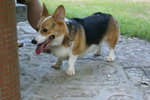 DSC01781