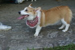 DSC01786