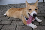 DSC00196