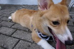 DSC00197