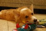 DSC00253