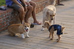 DSC00291