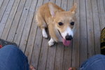 DSC00319
