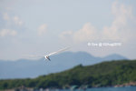 02Aug10_0240b