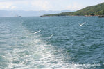 02Aug10_0256b