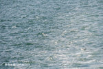 02Aug10_0276b