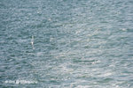 02Aug10_0278b