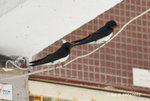09May10_0037