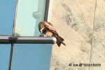 13Oct09_0027s