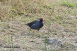 21Jan09_0035