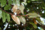 11Dec07_0023