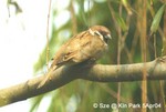 九龍公園5Apr04_20038s