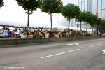 比賽後，大會因有飲品及生果供應，所以產生大量紙箱及紙皮！
HKMarathon12Feb06_30025s