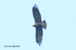 30Dec07_0028