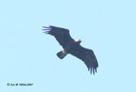 30Dec07_0063