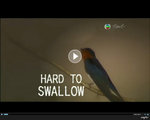 HardToSwallow --- 06Jun2010