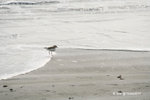 19Jan11_0068s