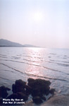 流浮山 21JAN2004_110
