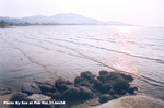 流浮山 21JAN2004_111