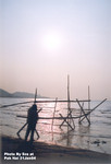 流浮山 21JAN2004_112