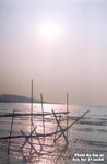 流浮山 21JAN2004_114