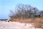 流浮山 21JAN2004_201