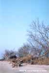 流浮山 21JAN2004_202