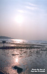 流浮山 21JAN2004_205