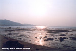 流浮山 21JAN2004_207