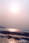 流浮山 21JAN2004_208