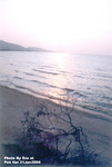 流浮山 21JAN2004_209