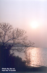流浮山 21JAN2004_210