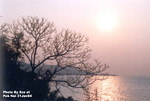 流浮山 21JAN2004_211