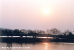 流浮山 21JAN2004_212