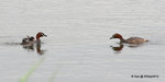 05Sep12_0076s