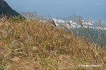 13Nov11_0595