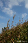 13Nov11_0597