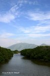 米埔的基圍內的水道
MaiPo10May07_20067s