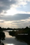 米埔的基圍內的水道
MaiPo10May07_20107s