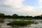 米埔的淡水沼澤
MaiPo10May07_20130s