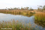 MaiPo28Dec04_20088