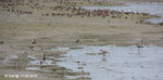 17Apr2015_0292s