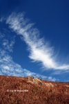 04Jan09_0159s
