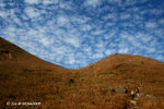 04Jan09_0162s