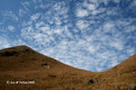 04Jan09_0167s