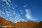 04Jan09_0168s