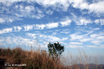 04Jan09_0205s