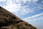 04Jan09_0217s