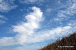 04Jan09_0239s