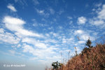 04Jan09_0241s